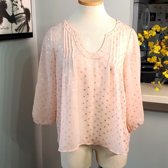 Doe & Rae sheer pink blouse with silver polkadot.  Size small. BOHEMIAN style. - Picture 1 of 7